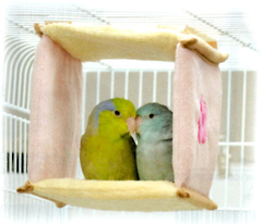 SANKO(三晃商会) 小鳥の四角ベッドの口コミレビュー！実際の使用感とは？