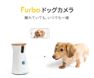 Furbo ドッグカメラの口コミ評価！アプリの設定や最安値で購入する方法とは？